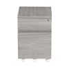 Techni Mobili Rolling Two Drawer Vertical Filing Cabinet with Lock and Storage, Grey